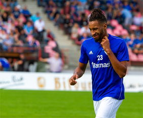 B体育视频-加迪夫城足球队陷入降级泥潭，主帅下课危机愈发临近