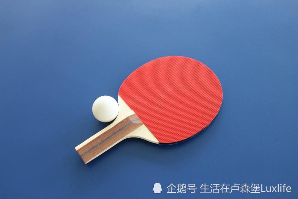 B体育官网app-包含卢森堡运动员斩获个人荣誉，备受瞩目的词条